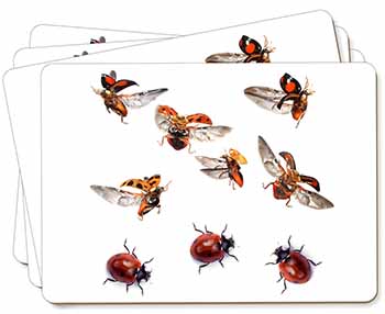Flying Ladybirds Picture Placemats in Gift Box