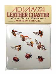 Flying Ladybirds Single Leather Photo Coaster