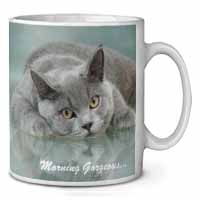 British Blue Cat 