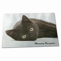 Large Glass Cutting Chopping Board Black Cat 