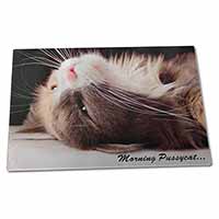 Large Glass Cutting Chopping Board Kitten 