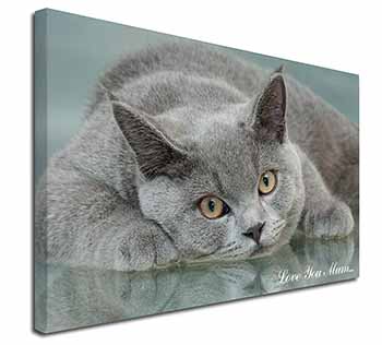 British Blue Cat 