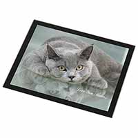 British Blue Cat 