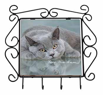 British Blue Cat 