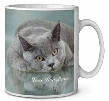 British Blue Cat 