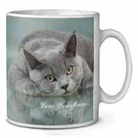 British Blue Cat 