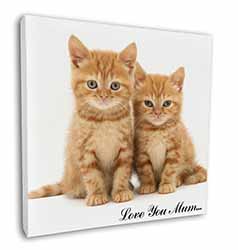 Ginger Kittens 