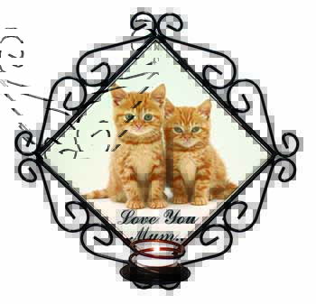 Ginger Kittens 