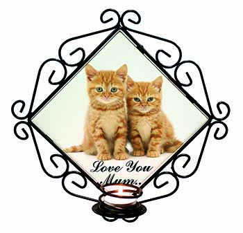 Ginger Kittens 