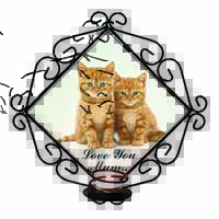 Ginger Kittens 