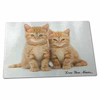 Large Glass Cutting Chopping Board Ginger Kittens 