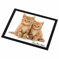 Ginger Kittens 