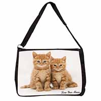 Ginger Kittens 