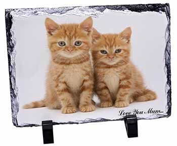 Ginger Kittens 