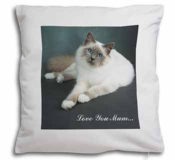 Birman Cat 