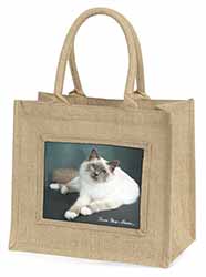 Birman Cat 