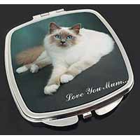 Birman Cat 