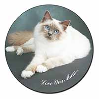 Birman Cat 