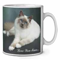 Birman Cat 