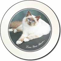 Birman Cat 