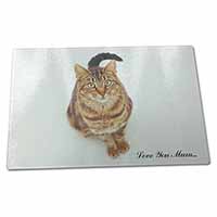 Large Glass Cutting Chopping Board Tabby Cat 