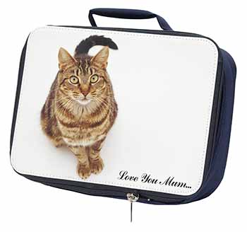 Tabby Cat 