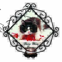 Kitten 