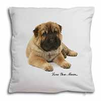 Shar-Pei Dog 