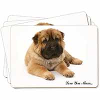 Shar-Pei Dog 