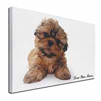 Shih-Tzu Dog Canvas X-Large 30"x20" Wall Art Print