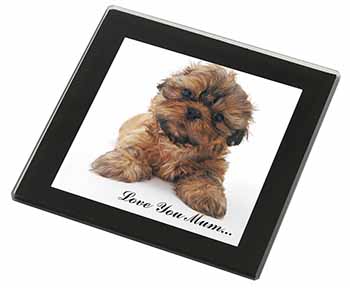 Shih-Tzu Dog Black Rim High Quality Glass Coaster