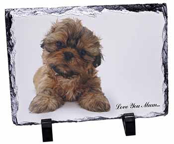 Shih-Tzu Dog, Stunning Photo Slate