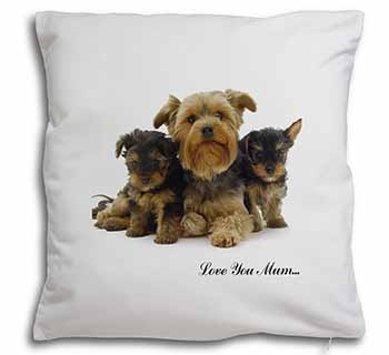 Yorkshire Terriers 