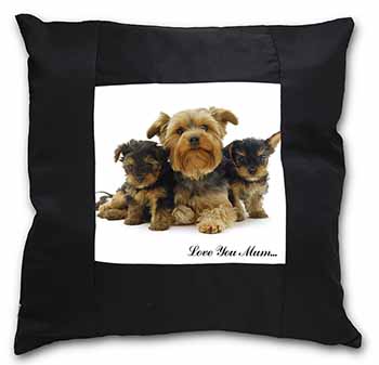 Yorkshire Terriers 