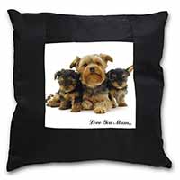 Yorkshire Terriers 