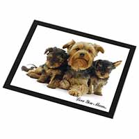 Yorkshire Terriers 