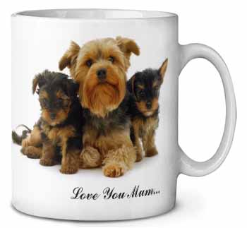 Yorkshire Terriers 