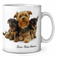 Yorkshire Terriers 