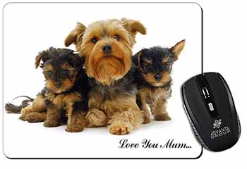 Yorkshire Terriers 