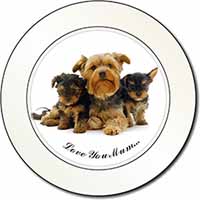 Yorkshire Terriers 