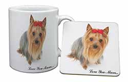 Yorkshire Terrier 