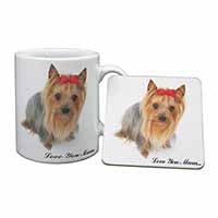 Yorkshire Terrier 