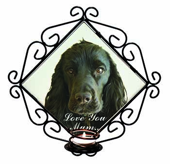 Cocker Spaniel 