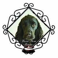 Cocker Spaniel 