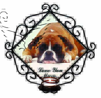 Boxer Dog 