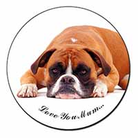 Boxer Dog 