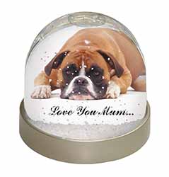 Boxer Dog 