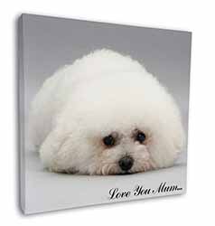 Bichon Frise Dog 