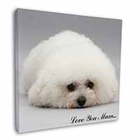 Bichon Frise Dog 