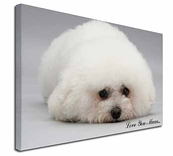 Bichon Frise Dog 